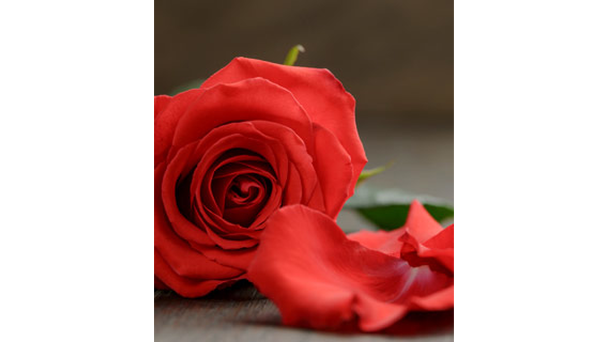 Eunice King Obituary Mcgehee Ar Griffin Culpepper Funeral Service